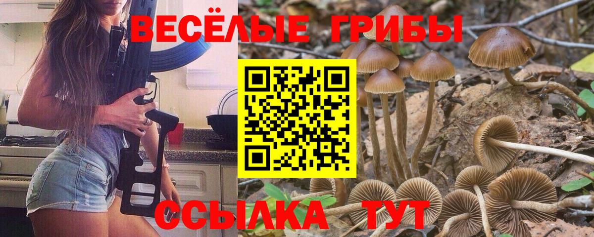 Псилоцибиновые грибы MAGIC MUSHROOMS Спасск-Дальний