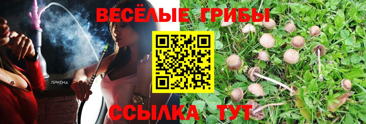 Спасск-Дальний  купить закладку  Вход с VPN  Галлюциногенные грибы мухоморы  Галлюциногенные грибы мухоморы 