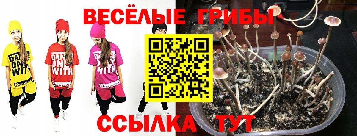 Бошки Шишки Спасск-Дальний